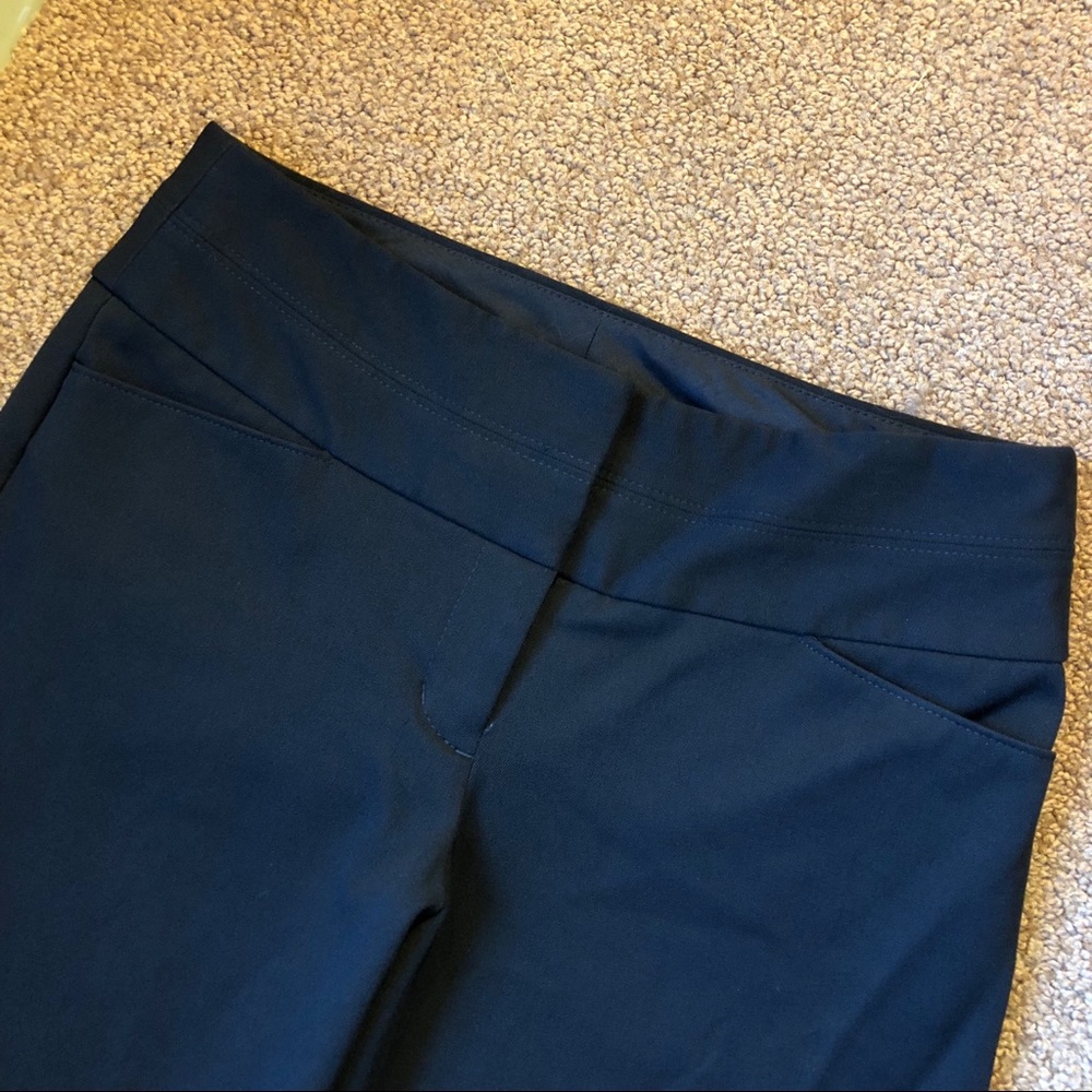 Express Dress Pants (EDITOR)